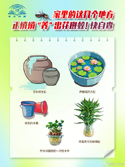 这些被你忽略的地方，天天都在“养”花蚊子咬你