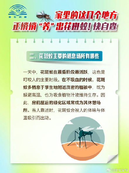 这些被你忽略的地方，天天都在“养”花蚊子咬你