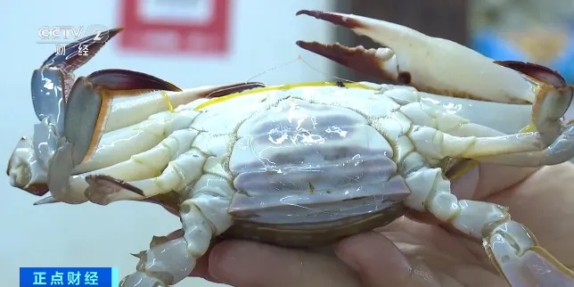 你爱吃的它，大降价！