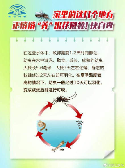 这些被你忽略的地方，天天都在“养”花蚊子咬你