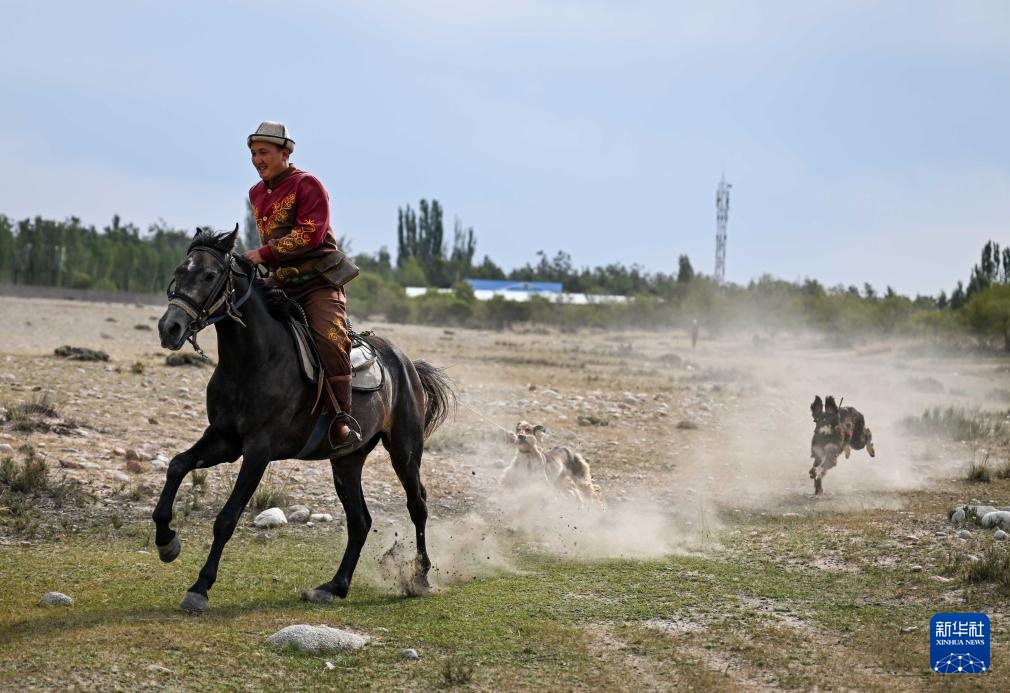 吉尔吉斯斯坦：飞鹰奔犬