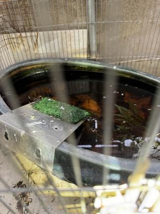 旅业场所如何防蚊灭蚊？指南来了→