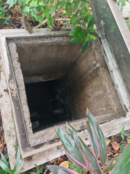 旅业场所如何防蚊灭蚊？指南来了→