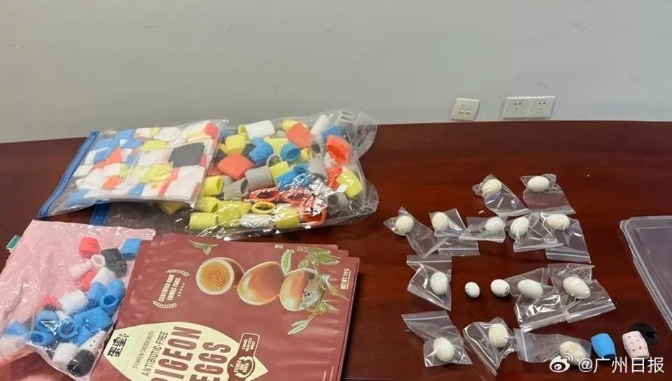 男子在机场洗手间冲走223枚鸟蛋,海关从下水道将其全部救回,经救助37颗已孵化出鹦鹉 男子在机场洗手间冲走223枚鸟蛋,海关从下水道将其全部救回,经救助37颗已孵化出鹦鹉