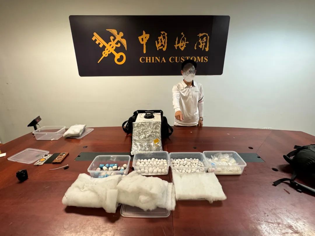 下水道里,救回鹦鹉蛋 下水道里,救回鹦鹉蛋