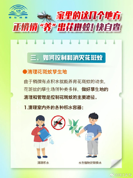 这些被你忽略的地方，天天都在“养”花蚊子咬你