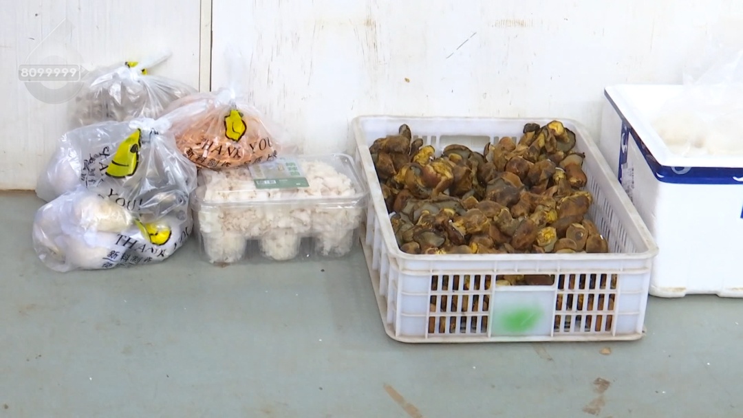 深夜，昆明一男子突然从床上跃起，在妻子头上抓虫……妻子吓惨了！