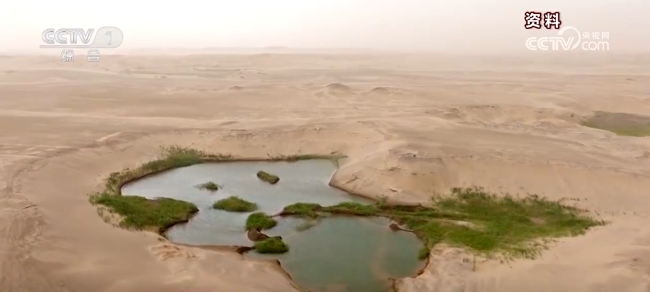 沙漠里养海鲜、种水稻？科技助力新疆“点沙成金”变身鱼米之乡