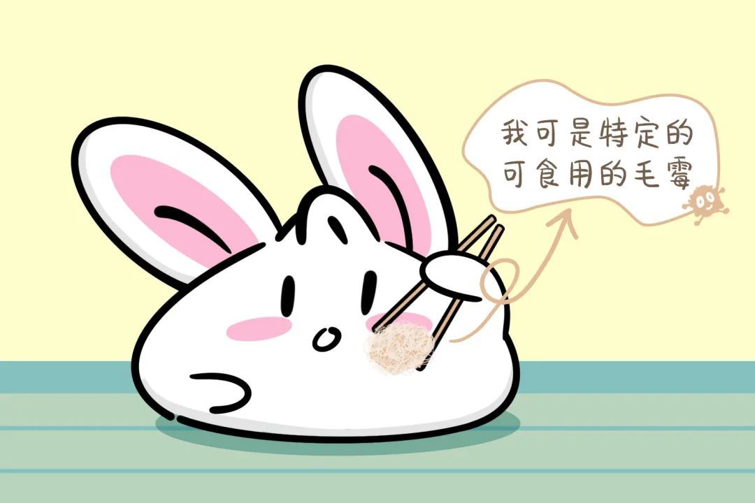 这个夏天容易被低估的健康风险，如何拒之门外？