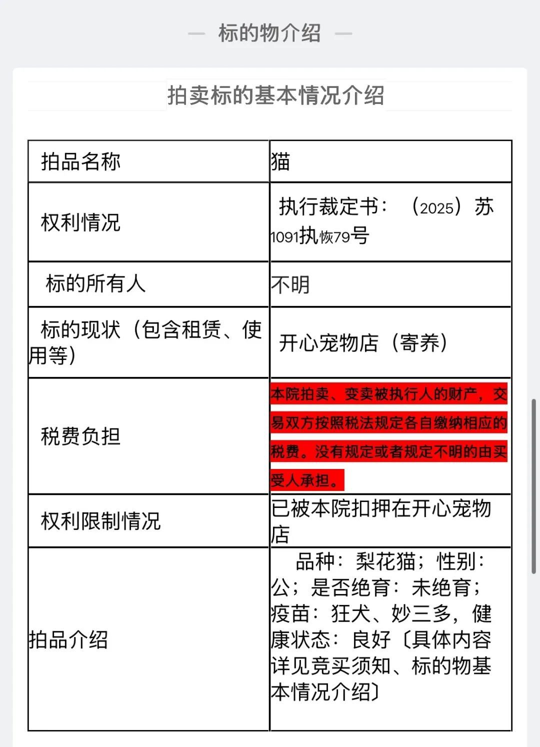 “已被本院扣押在宠物店”，主人欠钱3岁狸花猫被拍卖，起拍价500元
