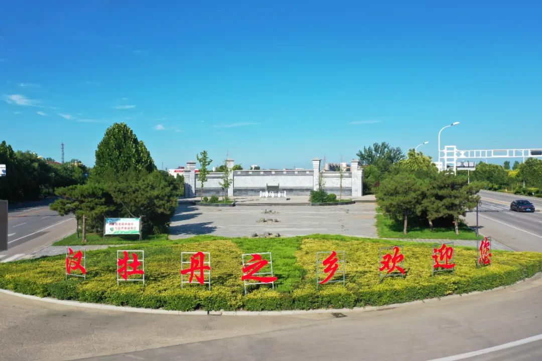 绽放了两千多年的汉牡丹见过吗？