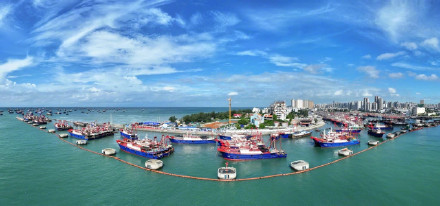 开！海！啦！北部湾千帆争“鲜”，海鲜自由稳了