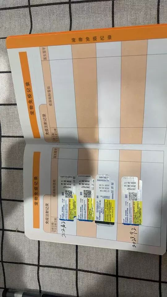 “已被本院扣押在宠物店”，主人欠钱3岁狸花猫被拍卖，起拍价500元