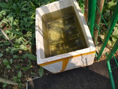 旅业场所如何防蚊灭蚊？指南来了→