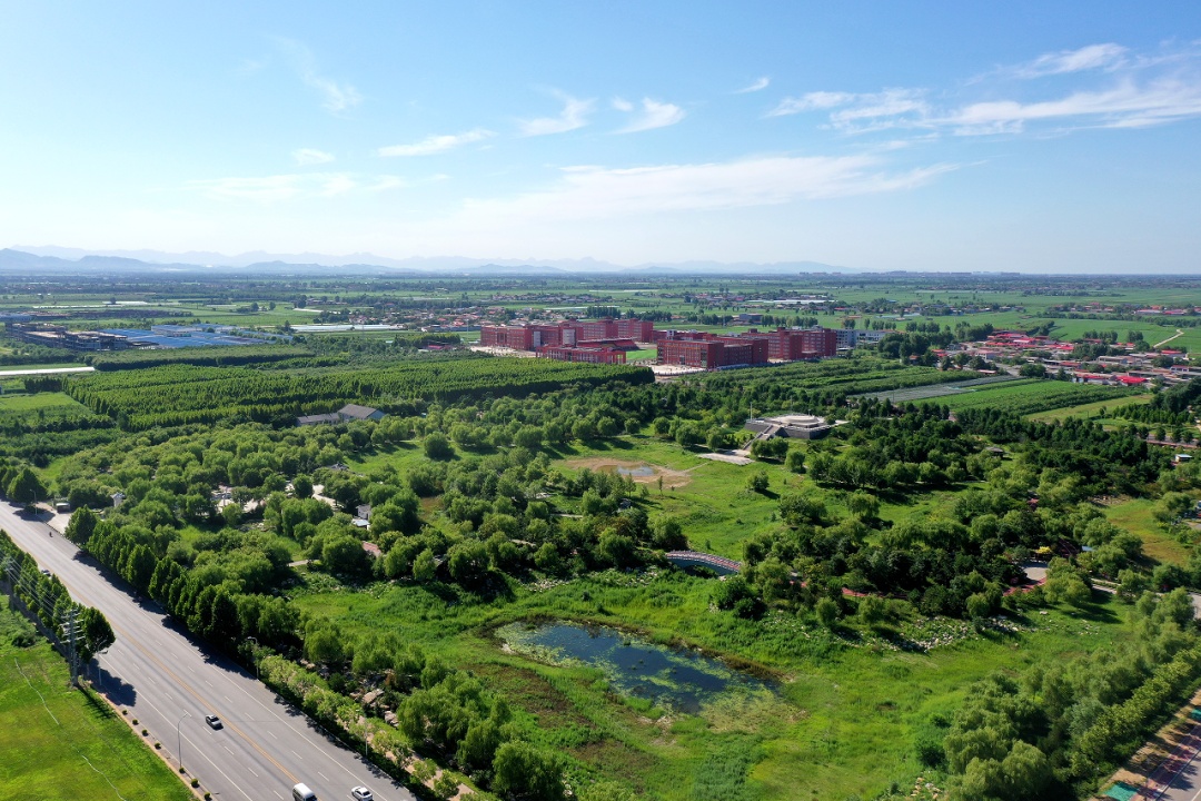 绽放了两千多年的汉牡丹见过吗？