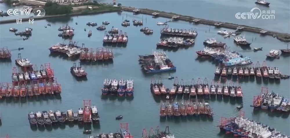 “海鲜+水产”上市供销两旺 “菜篮子”丰盈升腾“烟火气”