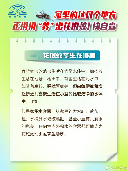 这些被你忽略的地方，天天都在“养”花蚊子咬你