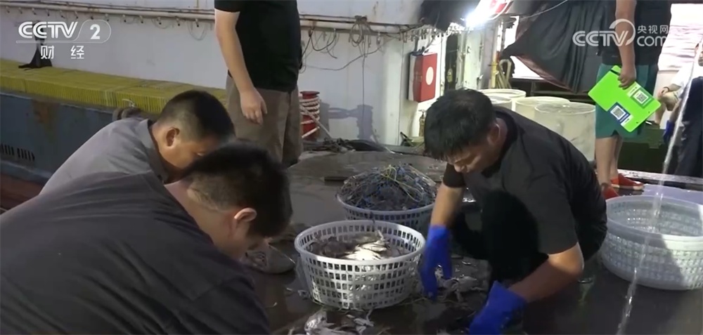 “海鲜+水产”上市供销两旺 “菜篮子”丰盈升腾“烟火气”