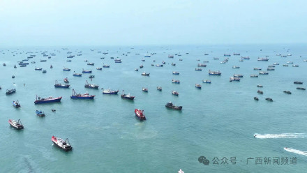 开！海！啦！北部湾千帆争“鲜”，海鲜自由稳了