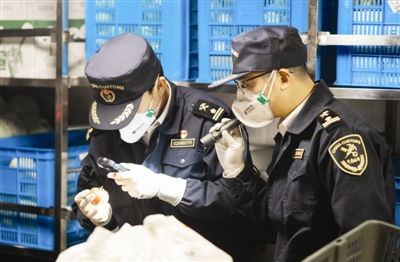 昼夜坚守、打造高效“不夜关” 多手段降低有害生物风险