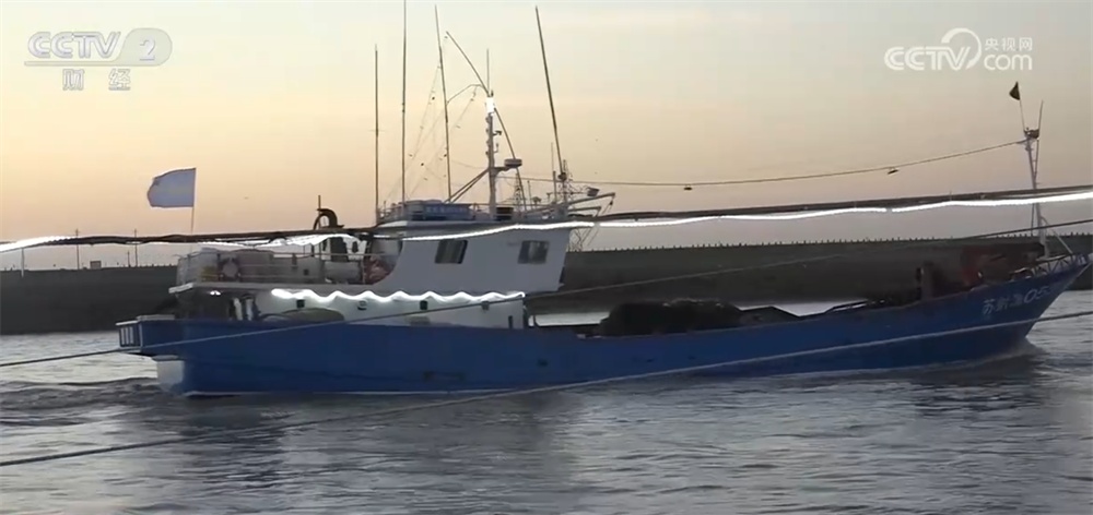 “海鲜+水产”上市供销两旺 “菜篮子”丰盈升腾“烟火气”