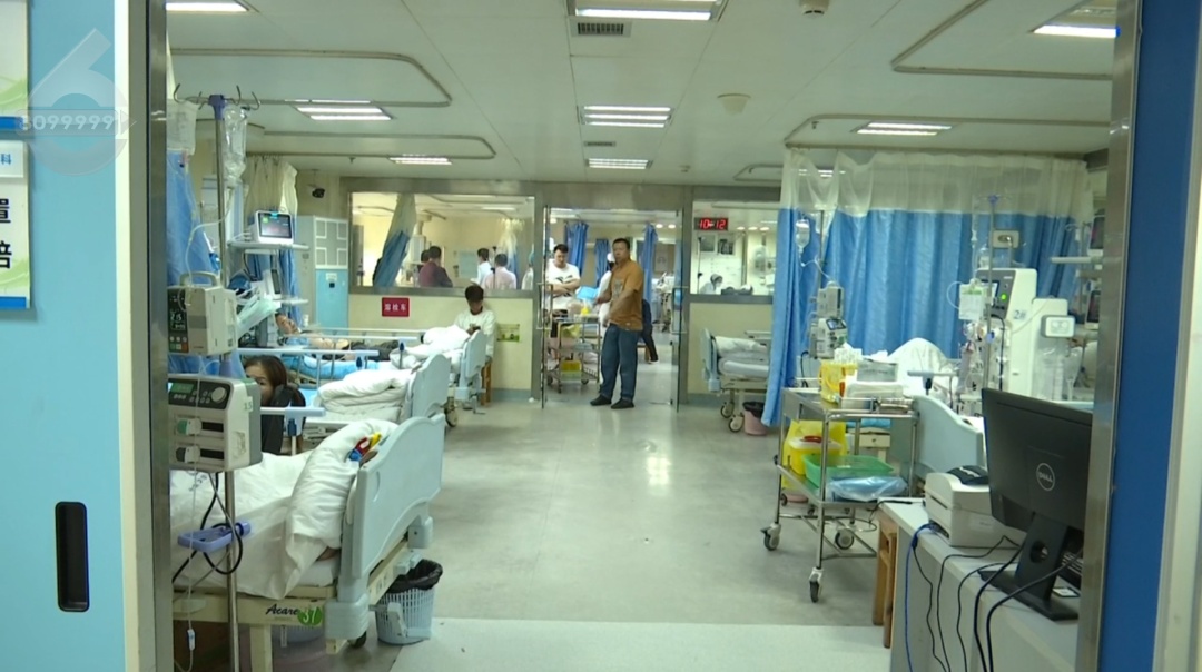 深夜，昆明一男子突然从床上跃起，在妻子头上抓虫……妻子吓惨了！