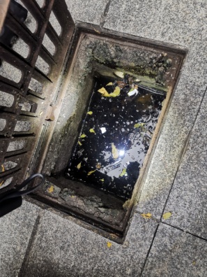 旅业场所如何防蚊灭蚊？指南来了→