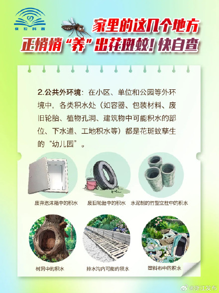 这些被你忽略的地方，天天都在“养”花蚊子咬你