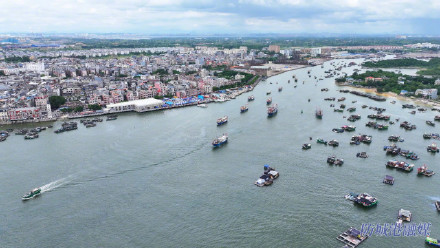 开！海！啦！北部湾千帆争“鲜”，海鲜自由稳了