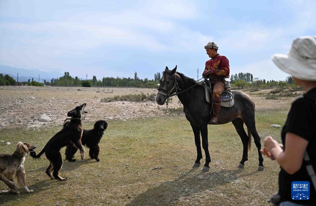 吉尔吉斯斯坦：飞鹰奔犬