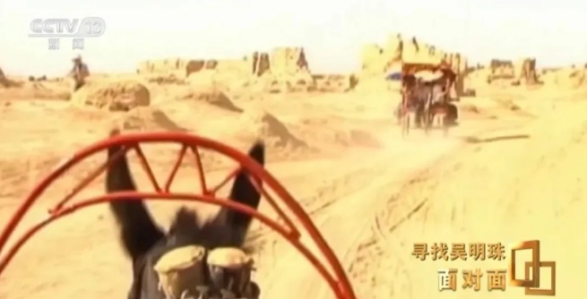 她认不出家人,但还记得这些瓜! 她认不出家人,但还记得这些瓜!
