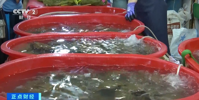 青岛人爱吃的它,大降价!期待住了…… 青岛人爱吃的它,大降价!期待住了……