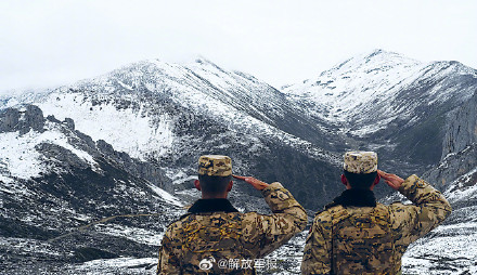 影像！高原之上 迎风挺立