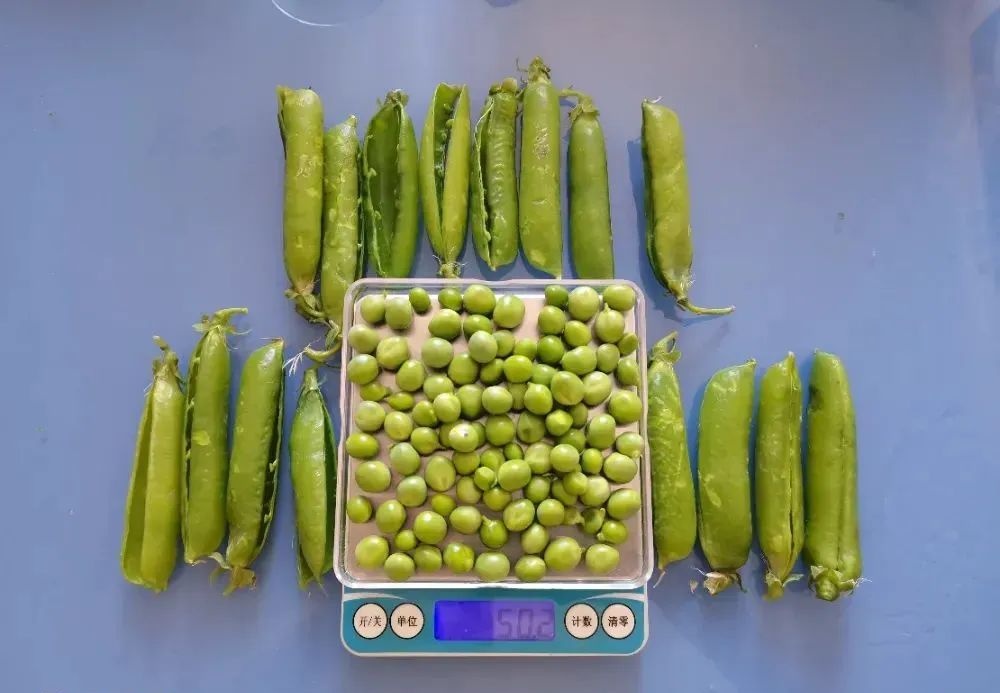 6 种你以为能减肥，其实热量“爆炸”的蔬菜，这样吃不怕胖！