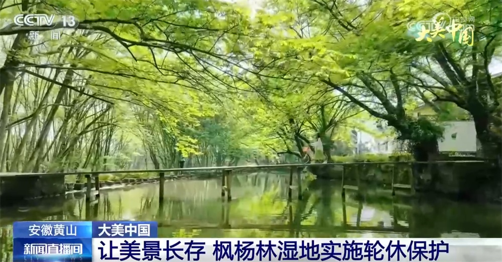 “织绿”、轮休、保护齐发力 绘就“人与自然和谐共生”大美画卷 “织绿”、轮休、保护齐发力 绘就“人与自然和谐共生”大美画卷