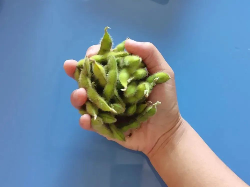 6 种你以为能减肥，其实热量“爆炸”的蔬菜，这样吃不怕胖！