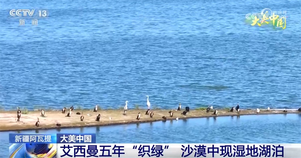 “织绿”、轮休、保护齐发力 绘就“人与自然和谐共生”大美画卷 “织绿”、轮休、保护齐发力 绘就“人与自然和谐共生”大美画卷