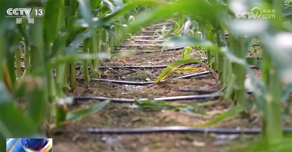 水利部:全国汛情总体呈北方重于南方态势 防汛形势依然严峻 水利部:全国汛情总体呈北方重于南方态势 防汛形势依然严峻