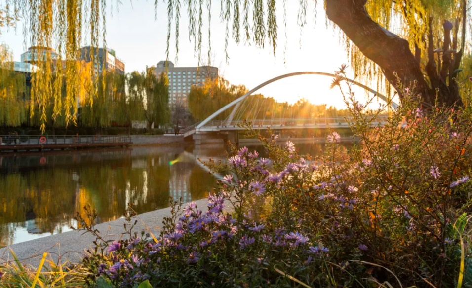 国土空间生态修复典型案例⑪ | 朝阳区亮马河生态修复