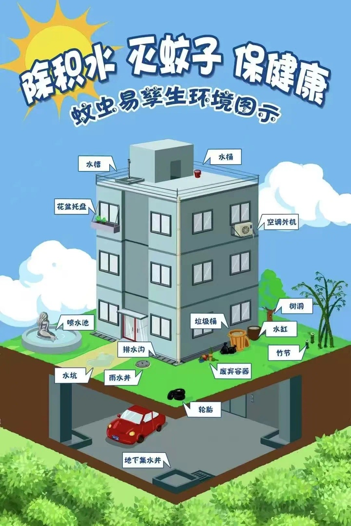 上海处于蚊虫密度高峰期，如何防叮咬？疾控专家这样说→