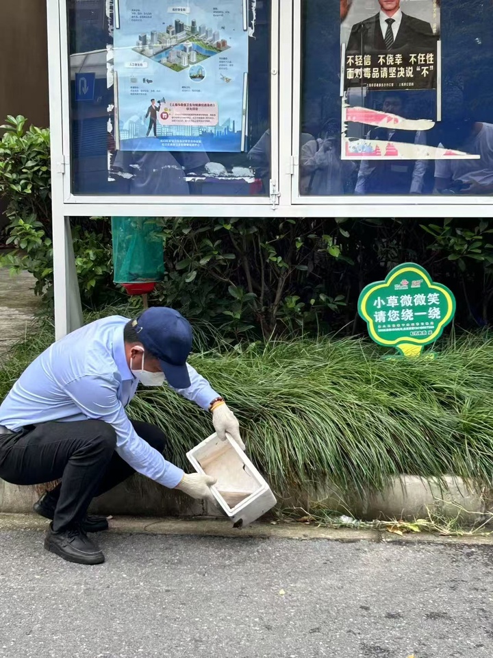 上海处于蚊虫密度高峰期，如何防叮咬？疾控专家这样说→