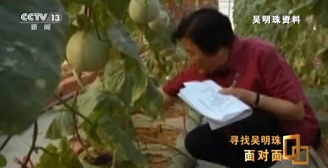 她认不出家人,但还记得这些瓜! 她认不出家人,但还记得这些瓜!