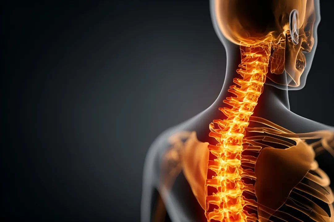 脖子更直了 未必是好事