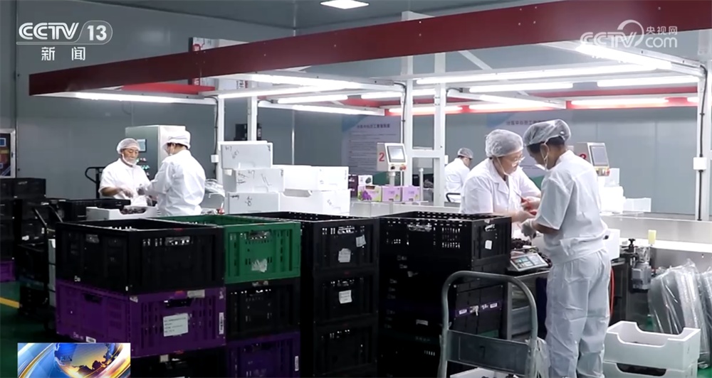 数据勾勒上半年冷链物流运行稳中有升“成绩单” 新能源冷藏车表现亮眼