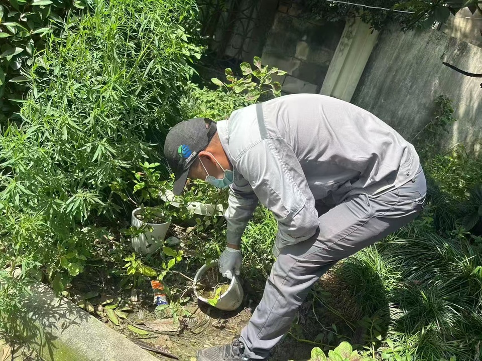 上海处于蚊虫密度高峰期，如何防叮咬？疾控专家这样说→