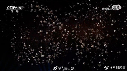 世运会闭幕式烟花绝绝紫