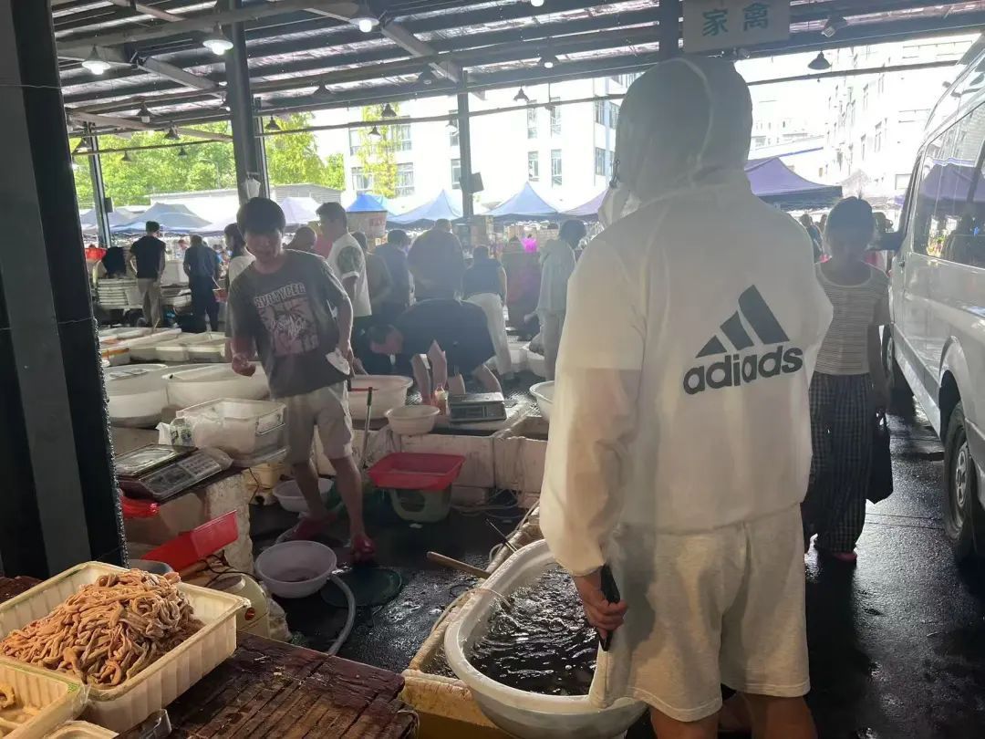 暴跌50%!杭州人爱吃的美味,今年产量暴增,老板:现在买最划算 暴跌50%!杭州人爱吃的美味,今年产量暴增,老板:现在买最划算