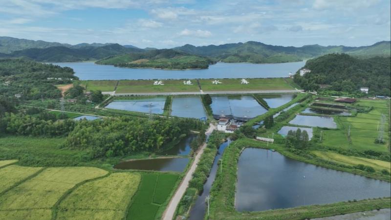 江西持续高温天气 各地科学调水保灌溉