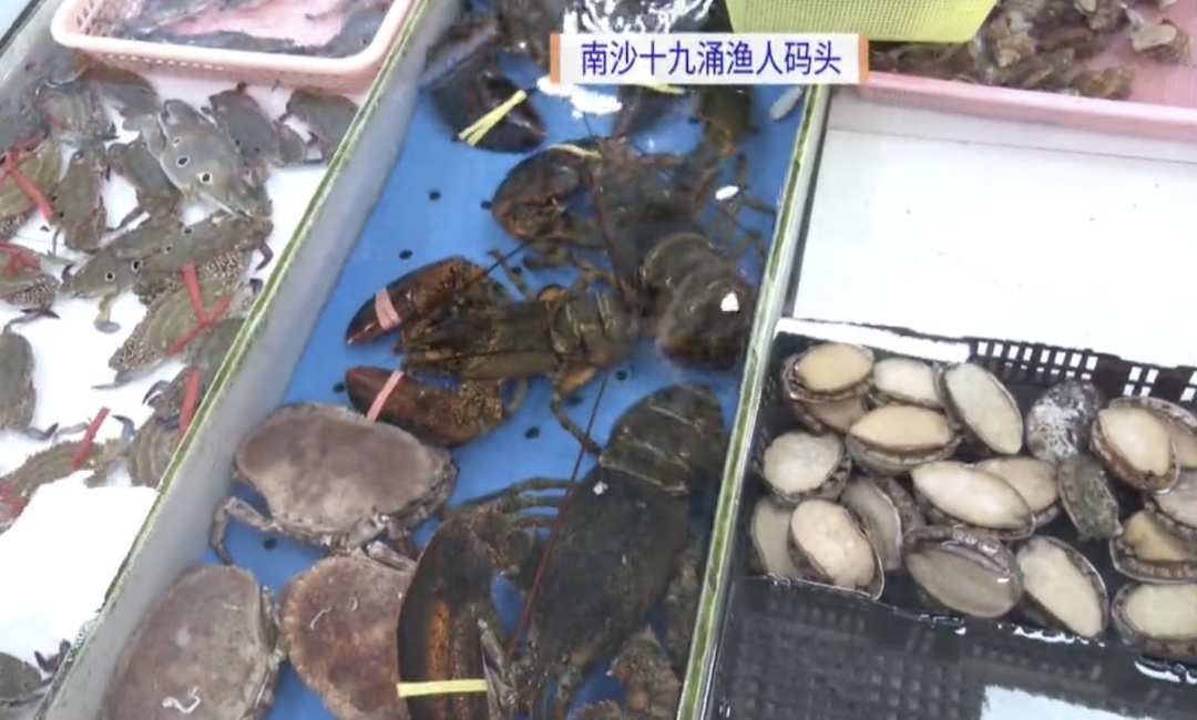 开渔第二天，“生猛靓货”陆续上岸！广东食客争尝“第一口鲜”！