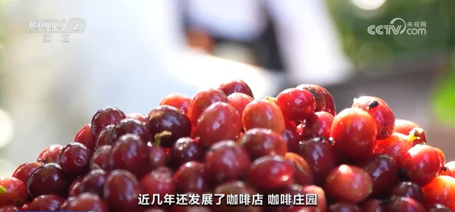 一杯“村咖”解锁乡村旅游“流量密码” 农文旅融合书写乡村振兴“夏日答卷” 一杯“村咖”解锁乡村旅游“流量密码” 农文旅融合书写乡村振兴“夏日答卷”